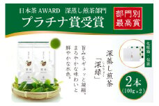 お茶 緑茶 深蒸し煎茶 深緑 100g×2本 [谷岩茶舗 宮崎県 日向市 452060993] セット 小分け 茶葉 プラチナ賞