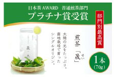 お茶 緑茶 煎茶 晟 70g×1本 [谷岩茶舗 宮崎県 日向市 452061000] 緑茶 やぶきた プラチナ賞 日本茶