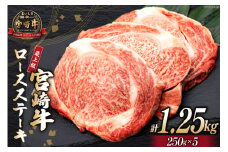 【最上等級使用！】 牛肉 宮崎牛 ロース ステーキ 250g × 5枚 計1.25kg [ミヤチク 宮崎県 日向市 452061228] 小分け 個包装 和牛 黒毛和牛 ブランド牛 冷凍 4等級 5等級