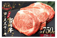 【最上等級使用！】 牛肉 宮崎牛 ロース ステーキ 250g × 3枚 計750g [ミヤチク 宮崎県 日向市 452061227] 小分け 個包装 和牛 ブランド牛 黒毛和牛 冷凍 4等級 5等級