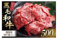 牛肉 訳あり 宮崎県産黒毛和牛 焼き肉用切り落とし 500g[ウィズ・クリエイティブ 宮崎県 日向市 452060764] 冷凍 数量限定 不揃い 牛 和牛 黒毛和牛 切り落とし