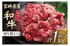 牛肉 訳あり 宮崎県産和牛切り落とし 500g×2 [ウィズ・クリエイティブ 宮崎県 日向市 452060763] 冷凍 小分け 数量限定 不揃い 牛 和牛 黒毛和牛 切り落とし