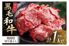 牛肉 訳あり 宮崎県産黒毛和牛 焼き肉用切り落とし 500g×2 計1kg[ウィズ・クリエイティブ 宮崎県 日向市 452060765] 冷凍 小分け 数量限定 不揃い 牛 和牛 黒毛和牛 切り落とし