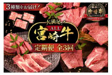 牛肉 定期便 3回 宮崎牛 バラエティAコース 計 1.3kg [ミヤチク 宮崎県 日向市 452061238] セット 冷凍 モモ 焼肉 牛肩ロース ロース バラ