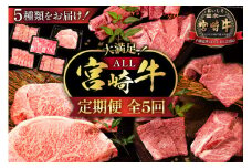 牛肉 定期便 5回 宮崎牛 バラエティCコース 計 2.1kg [ミヤチク 宮崎県 日向市 452061240] セット 小分け 冷凍 焼肉 モモ ロース ステーキ ウデ スライス 牛肩ロース