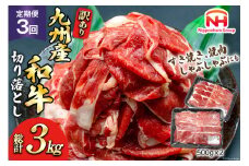 牛肉 訳あり 定期便 日本ハム 九州産和牛 切り落とし 500g 2p 3回 総計 3kg [日本ハムマーケティング 宮崎県 日向市 452061134] すき焼き しゃぶしゃぶ 赤身 小分け 冷凍 訳あり