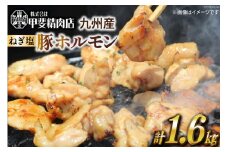 ホルモン 九州産 ねぎ塩 ホルモン 200g 8袋 計 1.6kg [甲斐精肉店 宮崎県 日向市 452060692] 冷凍 個包装 パック 国産 国内産 味付き ねぎ塩 肉