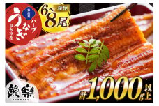 うなぎ ハーブ うなぎ蒲焼 計 1kg 以上 6～8尾 タレ 山椒 付き [鰻楽 宮崎県 日向市 452061198] セット 鰻楽 宮崎県産 真空パック 国産 蒲焼き ウナギ 鰻 長蒲焼 冷凍