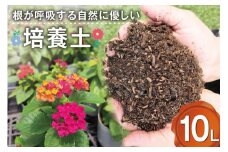 培養土 10L [大地商会 宮崎県 日向市 452061025] 軽い ふかふか 植物 観葉植物 ガーデニング 園芸 家庭菜園 花 培養 土 鉢植え キッチンガーデン 花壇 畑