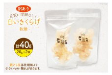 訳あり きくらげ 乾燥 白いきくらげ 20g 2袋 計 40g [きくらげ堂 日向店 宮崎県 日向市 452061064] 国産 キクラゲ 木耳 白