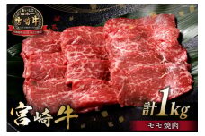 牛肉 宮崎牛 モモ焼肉 500g 2p 計 1kg [ミヤチク 宮崎県 日向市 452061232] 焼肉 冷凍 個包装 赤身 牛モモ