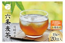 お茶 六条麦茶 10g 20包 [日向百生会 宮崎県 日向市 452061129] 麦茶 むぎ茶 水出し 煮出し ティーバッグ 国産 ノンカフェイン