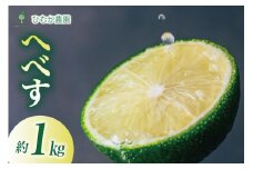 【期間限定発送】 へべす 宮崎 種が少ない ひむか農園のへべす 1kg 化粧箱入り [ひむか農園 宮崎県 日向市 452061155] 先行予約 国産 ヘベス