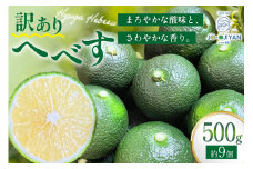 【期間限定発送】 へべす 訳あり 宮崎 栽培期間中農薬不使用 露地へべす500g [かわの農園 宮崎県 日向市 452061174] 先行予約 家庭用 国産 ヘベス 訳アリ