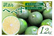 【期間限定発送】 へべす 訳あり 宮崎 栽培期間中農薬不使用 露地へべす1.2kg [かわの農園 宮崎県 日向市 452061172] 先行予約 家庭用 国産 ヘベス 訳アリ