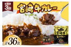 カレー 3回 定期便 レトルト 宮崎牛カレー 160g 12袋 総計36袋 [九州産商 宮崎県 日向市 452061182] 小分け ビーフカレー 宮崎 牛 常備食 保存食 中辛 宮崎牛 備蓄