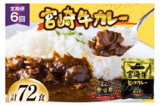 カレー 6回 定期便 レトルト 宮崎牛カレー 160g 12袋 総計72袋 [九州産商 宮崎県 日向市 452061183] 小分け ビーフカレー 宮崎 牛 常備食 保存食 中辛 宮崎牛 備蓄