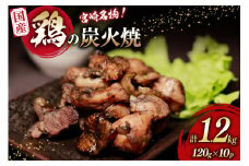 鶏 炭火焼 国産 鶏炭火焼 120g 10p 真空パック [さくら産業 宮崎県 日向市 452061214] 宮崎 炭火焼き 鶏炭火焼き 鶏肉