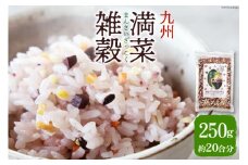 雑穀米 国産 混ぜるだけ 九州満菜 雑穀 250g 1 パック 約20合分 [オキス 宮崎県 日向市 452061133] 黒米 玄米 もち麦 押し麦 野菜 おにぎり お弁当 米 こめ