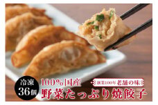 餃子 宮崎 上海花園 特製餃子 36個 [サニーガーデン 宮崎県 日向市 452061171] ぎょうざ 冷凍 おかず おつまみ 惣菜 ご飯のお供 小分け 個包装
