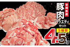 豚肉 宮崎県産豚肉 バラエティ セット 計4.5kg [南九フーズ 宮崎県 日向市 452061388] こま ミンチ 挽肉 ロース とんかつ しゃぶしゃぶ 生姜焼き 小分け