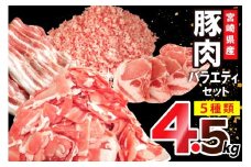 豚肉 宮崎県産豚肉 バラエティ セット 計4.5kg [南九フーズ 宮崎県 日向市 452061538] こま ミンチ 挽肉 ロース とんかつ しゃぶしゃぶ 生姜焼き 小分け