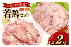 鶏肉 セット 宮崎県産 若鶏 もも身 むね身 各 1kg 計2kg セット [TRINITY 宮崎県 日向市 452061340] 業務用 とり肉 もも もも肉 モモ モモ肉 鶏肉もも むね肉 むね ムネ肉 胸 宮崎 詰め合わせ 冷凍 肉