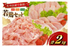 鶏肉 業務用 宮崎県産 若鶏 もも切身 300g 3p むね切身 300g 2p 筋なし ささみ 250g 2p 計 2kg セット [TRINITY 宮崎県 日向市 452061337] 鶏もも肉 もも肉 鶏むね肉 むね肉 ササミ 冷凍 鶏肉もも 詰め合わせ
