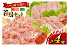 鶏肉  業務用 宮崎県産 若鶏 もも切身 300g 6p むね切身 300g 4p 筋なし ささみ 250g 4p 計4kg セット [TRINITY 宮崎県 日向市 452061336] 鶏もも肉 もも肉 鶏肉もも 鶏むね肉 むね肉 ササミ 冷凍 真空パック 詰め合わせ