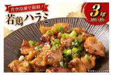 鶏肉 はらみ 宮崎県産 若鶏 ハラミ 300g 10p 計 3kg セット [TRINITY 宮崎県 日向市 452061343] 小分け 真空パック サガリ