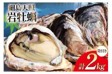 【期間限定発送】 牡蠣 細島天照 岩牡蠣 2kg 殻付き [一福丸 宮崎県 日向市 452061387] ほそしま かき カキ 岩ガキ 日豊海岸 濃厚 クリーミー BBQ 生食