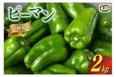 【期間限定発送】 ピーマン 宮崎県産ピーマン 2kg [東九農園 宮崎県 日向市 452061218] 宮崎 パリパリ 野菜 やさい サラダ 新鮮 BBQ