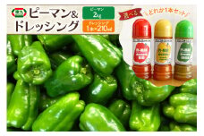 【期間限定発送】 ピーマン 宮崎県産ピーマン 2kg ドレッシング 210ml 赤・黄・緑から 1本 [東九農園 宮崎県 日向市 452061217] 詰め合わせ 宮崎 パリパリ 野菜 やさい サラダ 新鮮 BBQ
