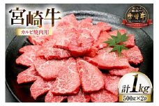 牛肉 宮崎牛 カルビ 焼肉用 500g 2p 計 1kg [ローカルブランディング 宮崎県 日向市 452061522] 冷凍 小分け 黒毛和牛 黒毛 A4 A5 焼肉 焼き肉 BBQ バーベキュー 国産