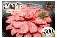 牛肉 宮崎牛 カルビ 焼肉用 500g 1p [ローカルブランディング 宮崎県 日向市 452061525] 冷凍 小分け 黒毛和牛 黒毛 A4 A5 焼肉 焼き肉 BBQ バーベキュー 国産