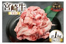 牛肉 宮崎牛 牛すじ 1kg [ローカルブランディング 宮崎県 日向市 452061404] 冷凍 黒毛和牛 黒毛 A4 A5 国産 牛筋