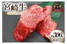 牛肉 宮崎牛 希少部位 シャトーブリアン 2枚 計300g [ローカルブランディング 宮崎県 日向市 452061396] 冷凍 黒毛和牛 黒毛 A4 A5 国産 ステーキ