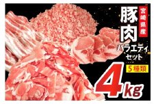 豚肉 詰め合わせ 宮崎県産豚肉 バラエティ セット 5種 4kg [南九フーズ 宮崎県 日向市 452061516] トンカツ とんかつ バラ 切り落とし しゃぶしゃぶ ロース スライス 豚こま 小間切れ ミンチ ひき肉