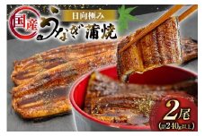 うなぎ 国産 日向極み うなぎ蒲焼 2尾 計240g以上 【たれ・山椒付き】 [日向サンパーク 宮崎県 日向市 452061502] ギフト 小分け 真空パック 鰻 ウナギ うなぎの蒲焼 蒲焼 蒲焼き