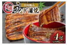 うなぎ 国産 日向極み うなぎ蒲焼 4尾 計480g以上 【たれ・山椒付き】 [日向サンパーク 宮崎県 日向市 452061501] ギフト 小分け 真空パック 鰻 ウナギ うなぎの蒲焼 蒲焼 蒲焼き