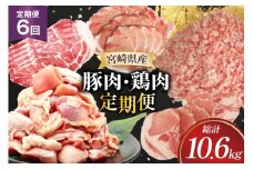 豚肉 鶏肉 宮崎県産 豚 鶏 6回 定期便 [南九フーズ 宮崎県 日向市 452061540] 切り落とし 小分け ロース とんかつ もも もも肉 鶏もも 鶏もも肉