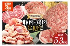 豚肉 鶏肉 宮崎県産 豚 鶏 3回 定期便 [南九フーズ 宮崎県 日向市 452061539] 切り落とし 小分け ロース とんかつ もも もも肉 鶏もも 鶏もも肉