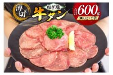 牛タン 薄切り ねぎ塩牛タン 300g 2p 計600g [甲斐精肉店 宮崎県 日向市 452061543] ふるさと 小分け 冷凍 牛肉 牛たん ねぎ塩 ネギ塩