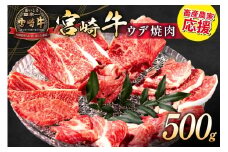 【畜産農家応援】 牛肉 焼肉 宮崎牛 ウデ 焼肉用 500g [ ミヤチク 宮崎県 日向市 452061533] 冷凍 内閣総理大臣賞 焼き肉 牛ウデ ウデ肉 黒毛 和牛 黒毛和牛 国産 国産牛肉 アウトドア BBQ キャンプ