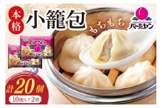 小籠包 バーミヤン 本格小籠包 250g 10個入り ×2袋 [すかいらーくホールディングス 宮崎県 日向市 452061569] レンジ 冷凍 おつまみ 中華 しょうろんぽう ショウロンポウ 点心 