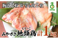 U-A3 ＜認定農家直送＞のびのびと育てたみやざき地頭鶏の生肉セット(合計1kg・モモ肉300g×2P、ムネ肉200g×2P)炭焼やソテー、鶏すき焼きに【権代ファーム】