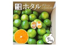 AF-A1 ＜先行予約＞串間市都井「石上農園」自慢のホタル グリーンハウスミカン 5kg（約60個）【石上農園】