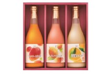 G-B1 驚きの果実感！トロピカルフルーツドリンク(合計3本・各720ml、マンゴー、グァバ、日向夏)【宮崎果汁】