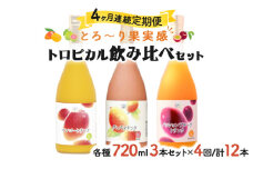 G-E1 【定期便・全4回】驚きの果実感！トロピカルフルーツドリンク(3本・各720ml、マンゴー、グァバ、パッションフルーツ)×4回【宮崎果汁】【G-E1】