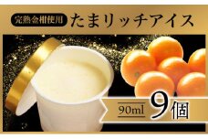 AQ-A1 串間市産きんかんたまたま使用！たまリッチアイス詰合せ(9個)【たまたまクラブ】【AQ-A1】